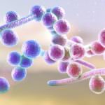 Candida-treatment