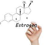 Estrogen