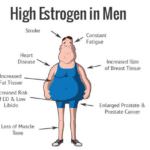 Estrogen kaj mazi