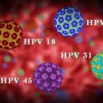 HPV4