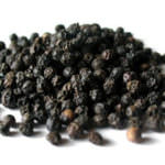 Piper nigrum1