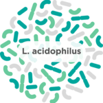 l-acidophilus