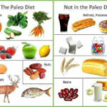 Paleo dieta