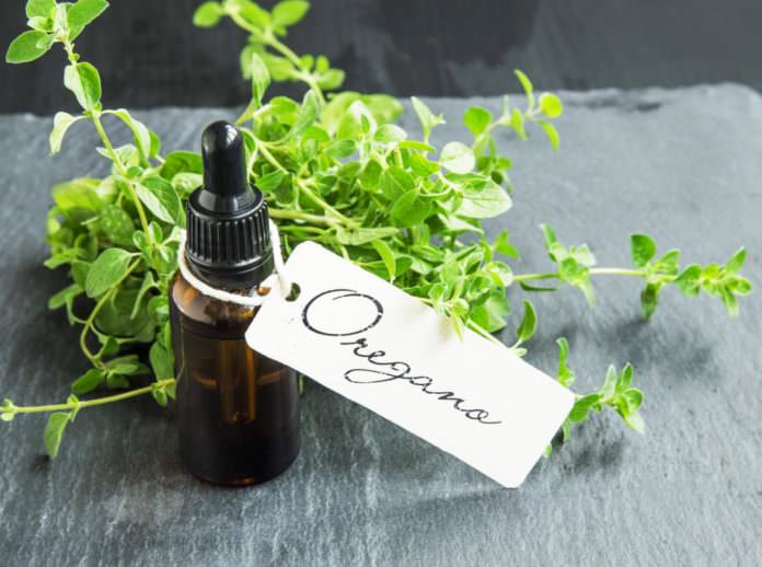 origano