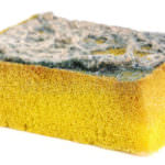 sungerce-bakterii (1)