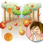 antihistamini (4)