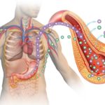 insulin