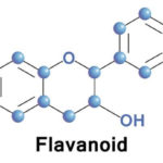 polifenoli-flavonoidi (4)