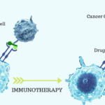 Immunotherapy-Process