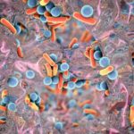 Заштитната купола на биофилм штити бактерии од антибиотици The protective dome of a biofilm shields bacteria from antibiotics.