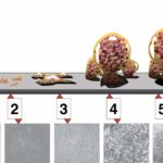 biofilm (2)