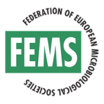 fems