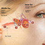 how-hearing-works