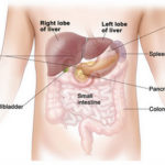 liver-pain-anatomy1