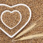 Spelt Wheat Grain