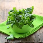 Basil