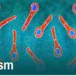 Botulism-1