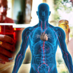 Drinking-alcohol-What-effect-does-drinking-have-on-the-body-782868