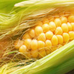 corn-silk
