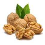 ishrana-40 (1)