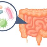 probiotici2
