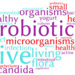 Probiotics Word Cloud