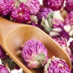 september_womenshealth_bestnaturalmenopausecures_article-768×295