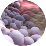 vaginalni-infekcii (1)