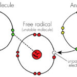 ATOMS2