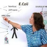E Koli (1)