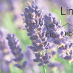 Linalool