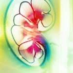 ORGANI