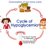 The-Cycle-of-Hypoglycemia