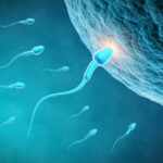 fertilitet (1)