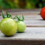 Zeleni-paradajz-–-lekovita-svojstva-i-recepti
