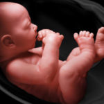bebe