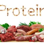 high-protein-foods-list