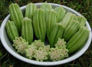 Паста од бамија – еликсир за убавина