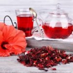 HIBISKUS-glavna-1