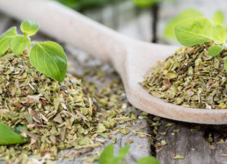 Ориганото лекува настинка