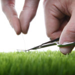 Young man cuts English lawn