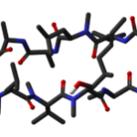 Ciclosporin-A-neutron-3D-sticks-300×151