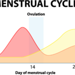 hormoni