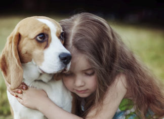 Кучињата го намалуваат ризикот од срцеви болести