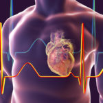 Human heart with heart vessles