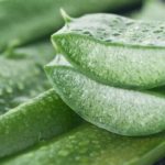 aloe-vera-625_625x350_71443086188