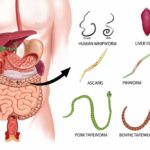 intro-parasites-in-humans (1)