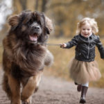 kids-and-dogs-752×440