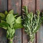 lifestyle-rosemary-mint