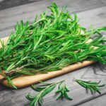 rosemary-2